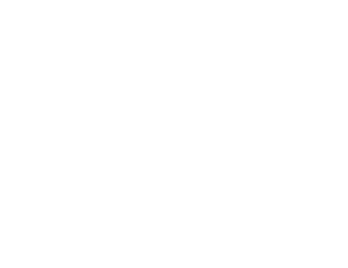 THEMIS ADR